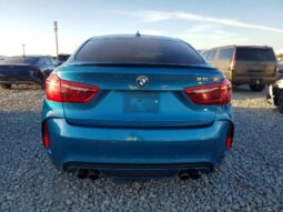
										2017 BMW X6 full									