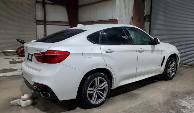 
								2019 BMW X6 full									