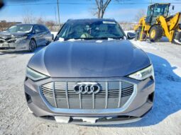 
										2019 Audi E-tron full									