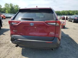 
										2019 Toyota Rav4 full									