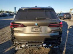 
										2025 BMW X5 full									