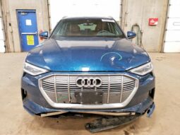 
										2022 Audi E-tron full									