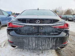 
										2019 Lexus Es 350 full									