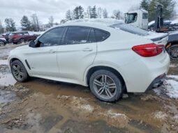 
										2015 BMW X6 full									