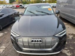 
										2019 Audi E-tron full									