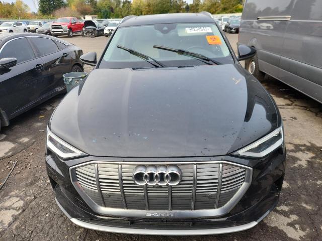 2019 Audi E-tron
