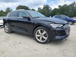 
										2019 Audi E-tron full									