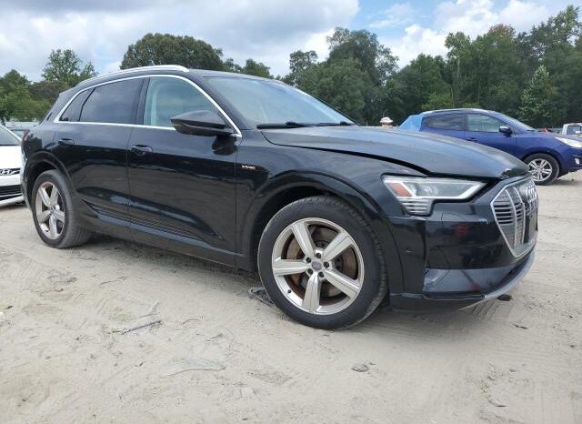 
								2019 Audi E-tron full									