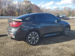 
										2018 BMW X6 full									