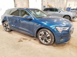 
										2022 Audi E-tron full									