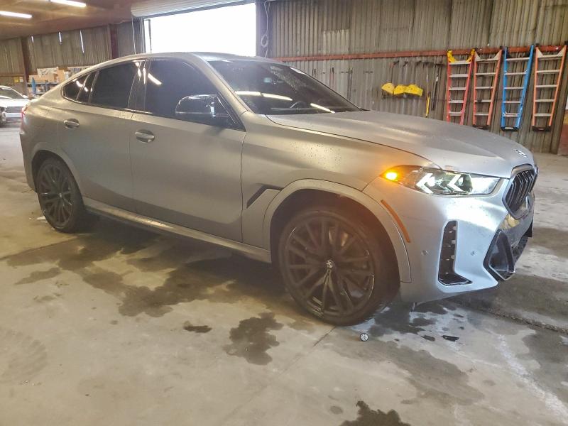 2025 BMW X6