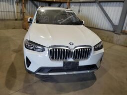 
										2024 BMW X3 full									