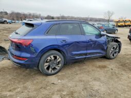 
										2022 Audi E-tron full									