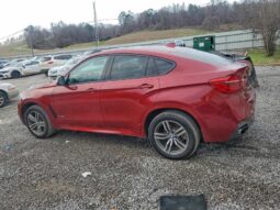 
										2019 BMW X6 full									