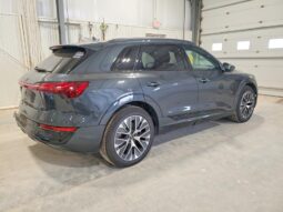 
										2024 Audi Q8 full									