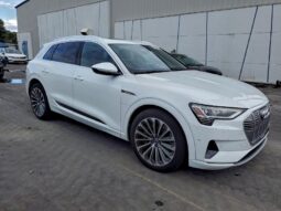 
										2019 Audi E-tron full									