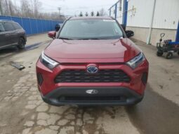 
										2024 Toyota Rav4 full									