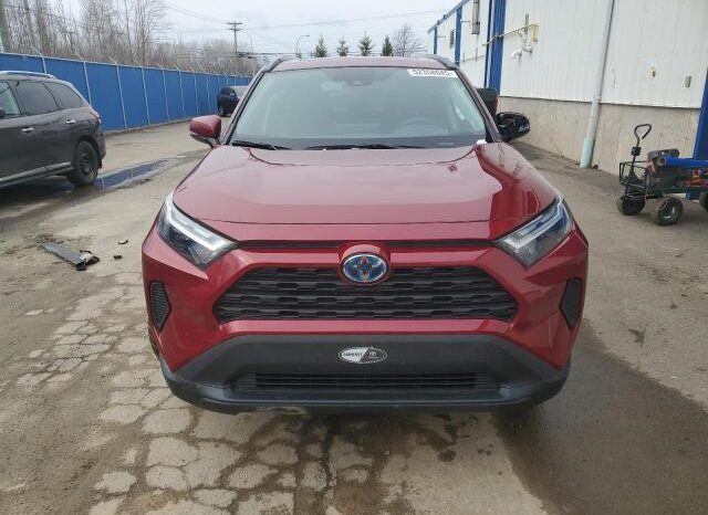 
								2024 Toyota Rav4 full									
