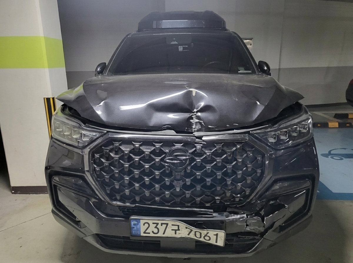 SSANG YONG REXTON