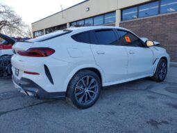 
										2026 BMW X6 full									