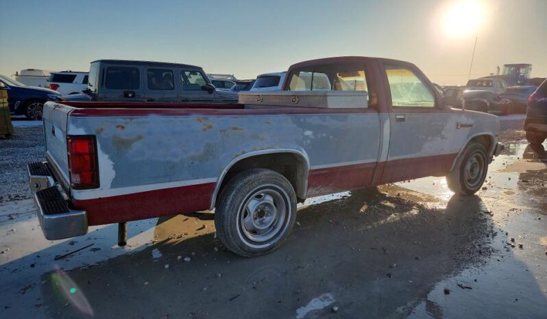 
								1989 Dodge Dakota full									