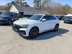 
										2019 Audi Q8 full									
