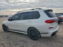 
										2020 BMW X7 full									