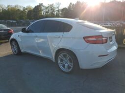 
										2014 BMW X6 full									