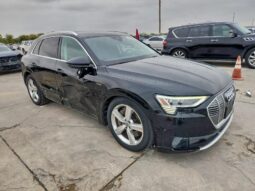 
										2019 Audi E-tron full									