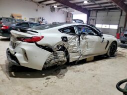 
										2020 BMW M8 full									
