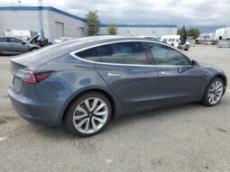 
										2019 Tesla Model 3 full									