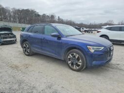 
										2022 Audi E-tron full									