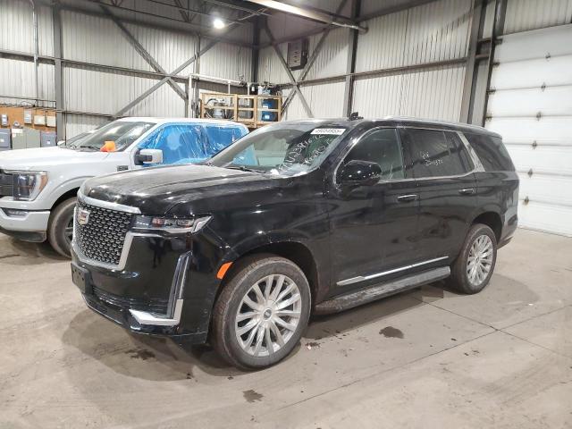 2024 Cadillac Escalade