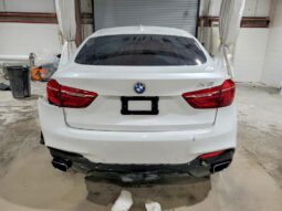
										2019 BMW X6 full									
