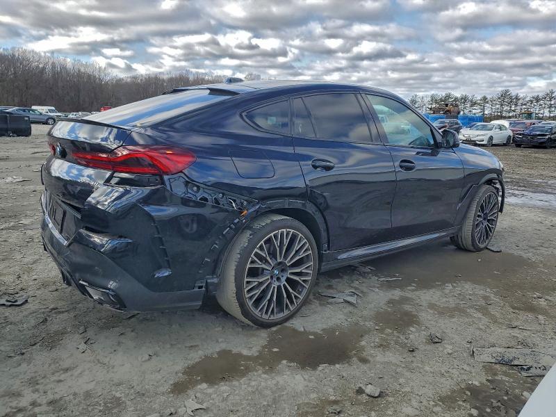 2024 BMW X6