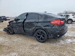 
										2013 BMW X6 full									