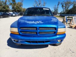 
										1999 Dodge Dakota full									