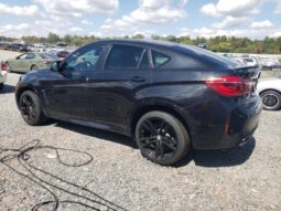 
										2018 BMW X6 full									