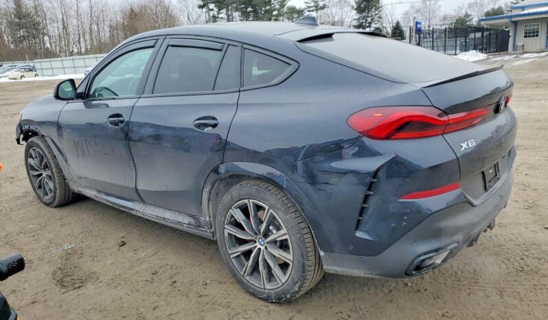 
								2023 BMW X6 full									