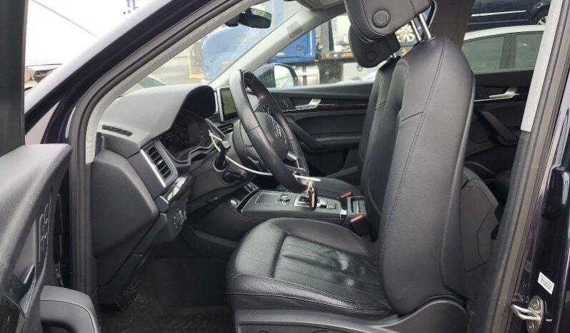 
								2019 Audi Q5 full									