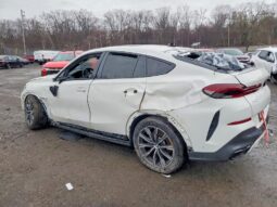 
										2021 BMW X6 full									