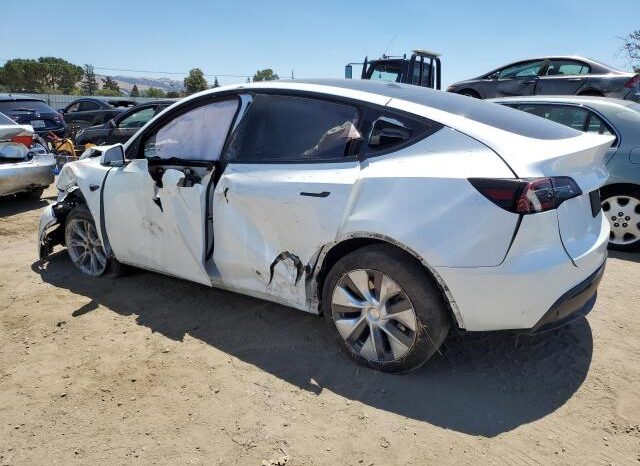 
								2023 Tesla Model y full									
