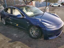
										2019 Tesla Model 3 full									