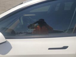 
										2022 Tesla Model 3 full									