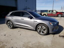 
										2022 Audi E-tron full									