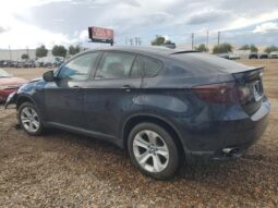 
										2010 BMW X6 full									