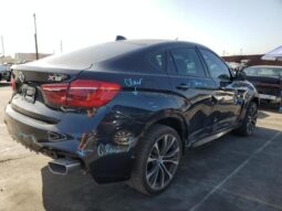 
										2018 BMW X6 full									