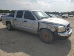 
										2005 Dodge Dakota full									