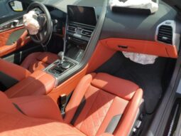 
										2025 BMW M8 full									