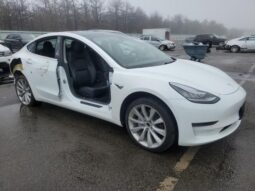 
										2020 Tesla Model 3 full									